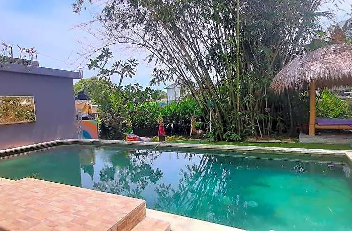 Ozora Tiying Tutul 5*